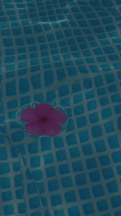 Sunlit pool water over tiled surface, showing the clarity routine service maintains